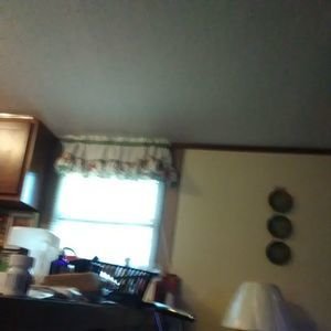 Meet your Posher, Bessie